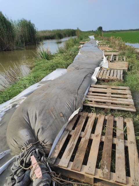 Ensayan en la Albufera de Valencia el sistema de extracción de lodos patentado por un egresado de la UPCT - 3, Foto 3