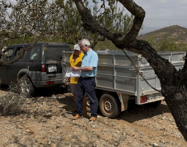 MC pide un riego de socorro para evitar el arranque de unos 200.000 almendros en la zona oeste del municipio - 1, Foto 1