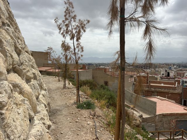 El barrio de San Pedro acumula un año de dejadez, abandono y pura desidia como resultado de la gestión del PP de Fulgencio Gil y Vox - 1, Foto 1