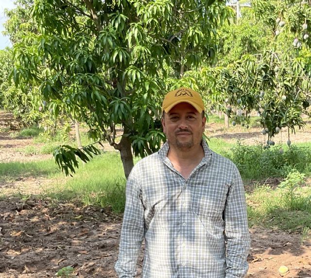 La gestión eficaz del cultivo del mango: Principal aliado para hacer frente a plagas y enfermedades - 1, Foto 1