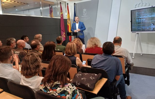 La Consejería de Medio Ambiente da un paso más en el restablecimiento de la cerceta pardilla en la Región - 1, Foto 1