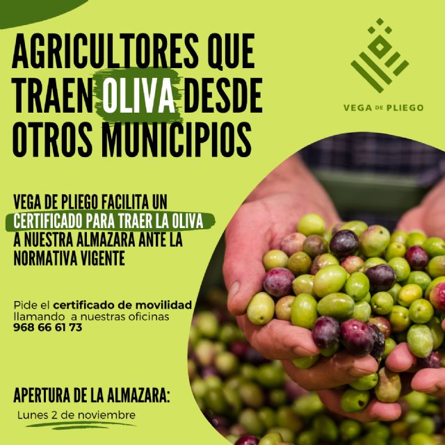 Vega de Pliego facilita certificados de movilidad a los agricultores que traen su oliva a su almazara - 1, Foto 1