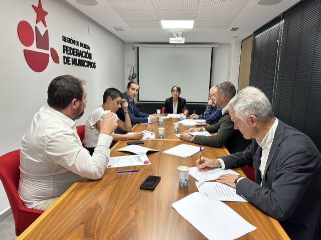 La Comisión Ejecutiva de la FMRM acuerda celebrar la Asamblea General Extraordinaria para la elección de los nuevos representantes el 10 de noviembre - 2, Foto 2