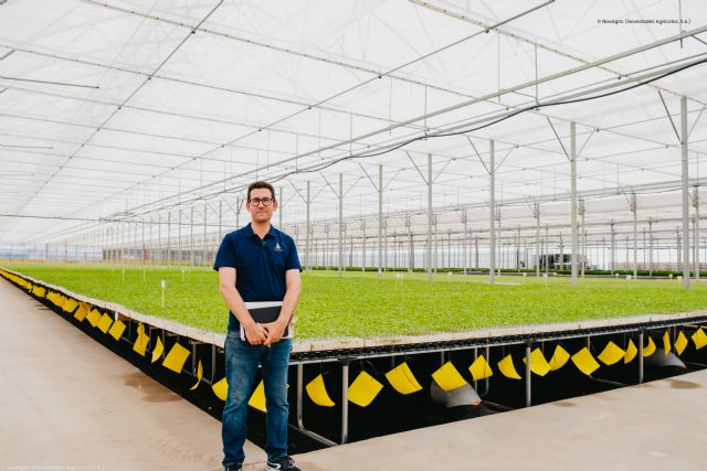 Un semillero mejora la calidad de vida de sus plantas y sus trabajadores gracias a sus nuevas instalaciones - 2, Foto 2