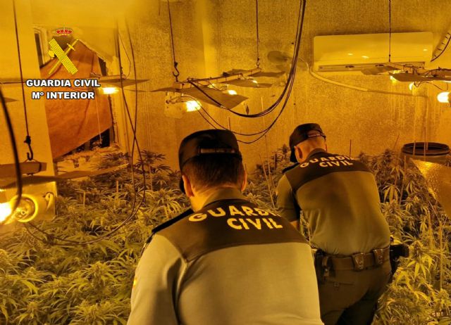 La Guardia Civil desmantela un invernadero de marihuana tipo indoor en Fortuna - 1, Foto 1