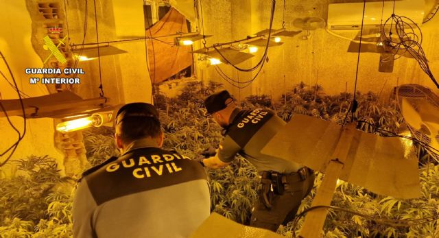 La Guardia Civil desmantela un invernadero de marihuana tipo indoor en Fortuna - 2, Foto 2