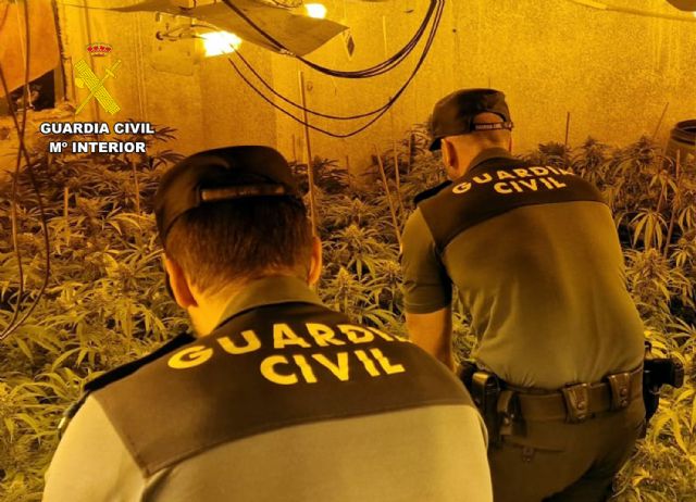 La Guardia Civil desmantela un invernadero de marihuana tipo indoor en Fortuna - 3, Foto 3