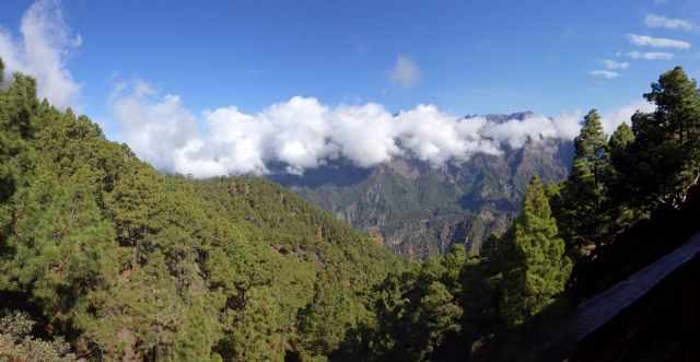 Canarias activa el céntimo forestal para crear un fondo específico de lucha contra el cambio climático - 1, Foto 1