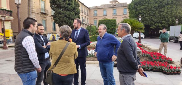 Más de 100.000 flores de temporada embellecen las calles, plazas y jardines de Murcia y sus pedanías por Navidad - 4, Foto 4