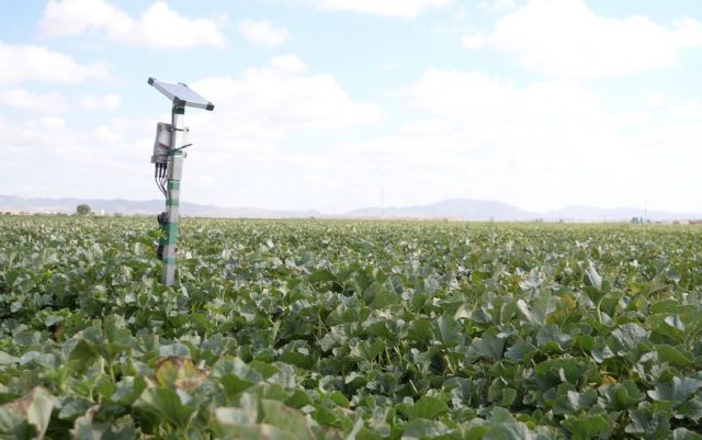 Ingenio denuncia que el acuerdo para los regadíos de Doñana deja en evidencia el maltrato que reciben los agricultores del Campo de Cartagena - 1, Foto 1