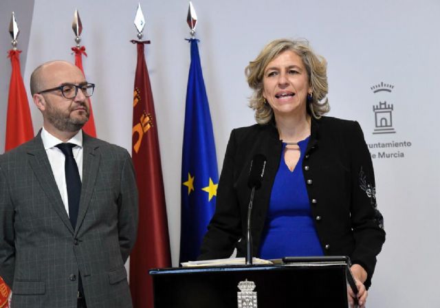 El Pleno reafirma su defensa de la Constitución y se opone a la amnistía a los independentistas - 1, Foto 1