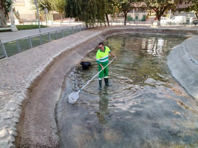 El Ayuntamiento pone a punto los 3.000 m2 del lago del Jardín del Salitre con una limpieza profunda - 1, Foto 1