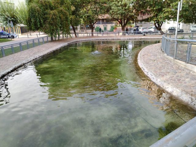 El Ayuntamiento pone a punto los 3.000 m2 del lago del Jardín del Salitre con una limpieza profunda - 2, Foto 2