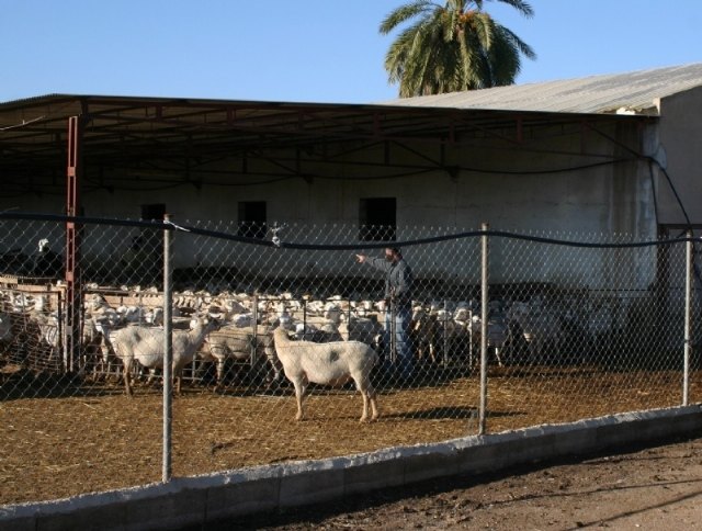 Aprueban un convenio con ASAJA para impulsar la atención al público en asuntos sobre agricultura en este municipio, Foto 2