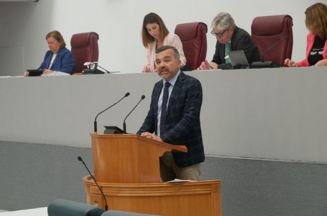 El PP solicita al Gobierno de España aplazar el alta obligatoria en la Seguridad Social a alumnos de FP y Universidades en prácticas hasta que los términos legales estén claros - 1, Foto 1