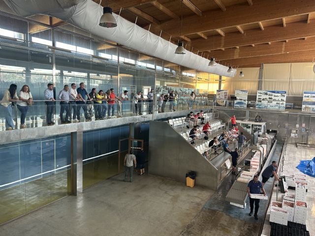 El candidato del PP a las elecciones europeas visita la lonja para conocer la situación laboral de los pescadores - 1, Foto 1