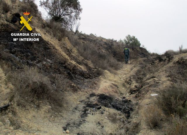 La Guardia Civil esclarece un incendio forestal en Lorca con la investigación de su presunto autor - 1, Foto 1