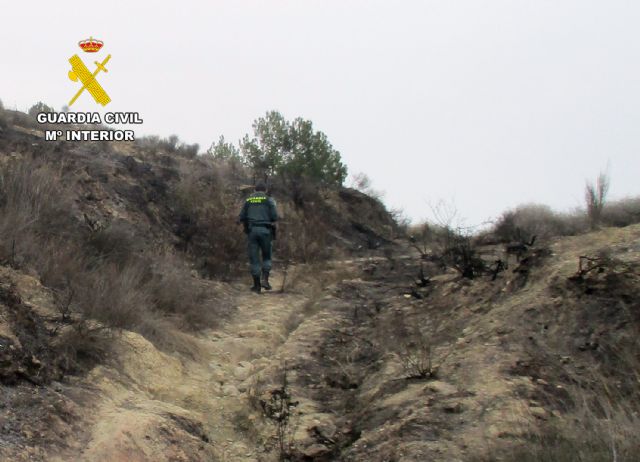 La Guardia Civil esclarece un incendio forestal en Lorca con la investigación de su presunto autor - 2, Foto 2