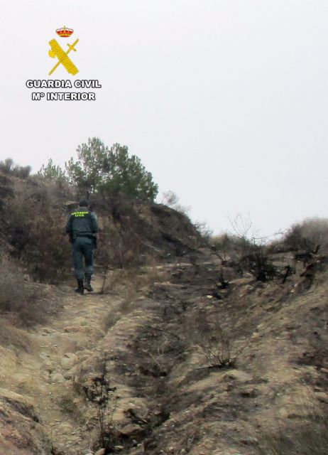 La Guardia Civil esclarece un incendio forestal en Lorca con la investigación de su presunto autor - 3, Foto 3