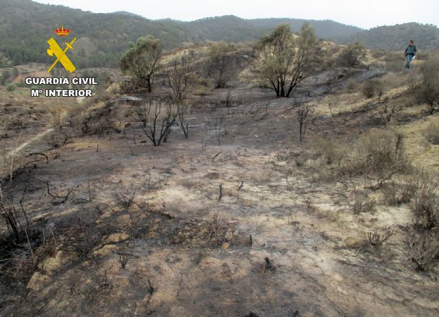 La Guardia Civil esclarece un incendio forestal en Lorca con la investigación de su presunto autor - 4, Foto 4