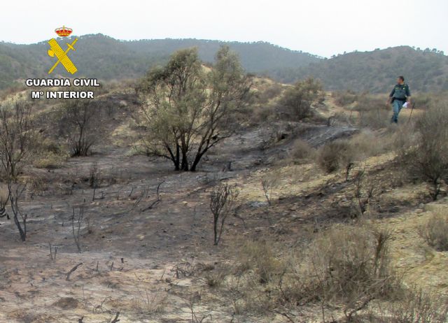 La Guardia Civil esclarece un incendio forestal en Lorca con la investigación de su presunto autor - 5, Foto 5