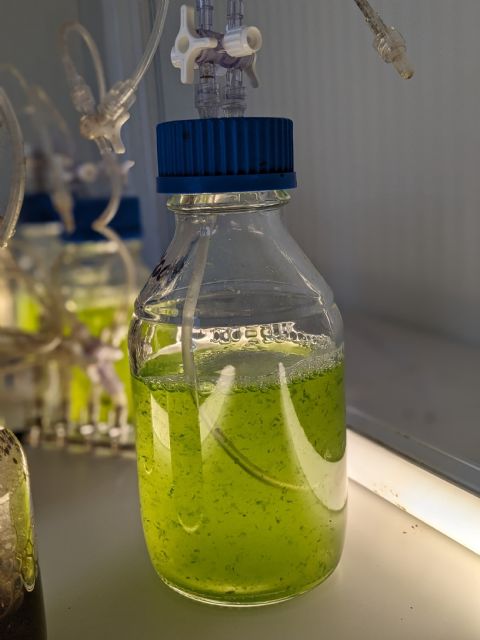 Algmastia crea la primera planta del mundo que transforma purines en biofertilizantes líquidos vivos con microalgas - 1, Foto 1