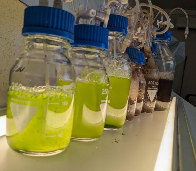 Algmastia crea la primera planta del mundo que transforma purines en biofertilizantes líquidos vivos con microalgas - 2, Foto 2