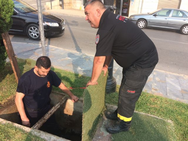 Voluntarios de Protección Civil realizan una revisión técnica a los más de 150 hidrantes distribuidos por el casco urbano y el polígono industrial - 3, Foto 3