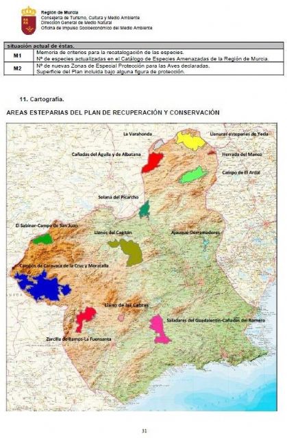 Denuncian 47ha de regado ilegal que afectan a especies protegidas en Mazarrn, Foto 3