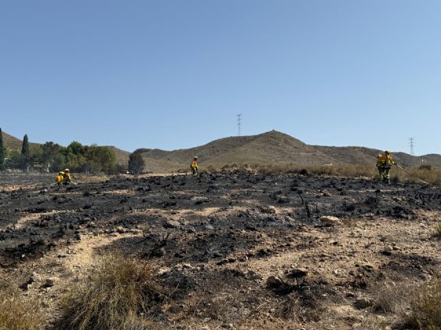 Efectivos del Plan Infomur controlan un incendio forestal declarado en el paraje las Majallanas de Purias - 2, Foto 2