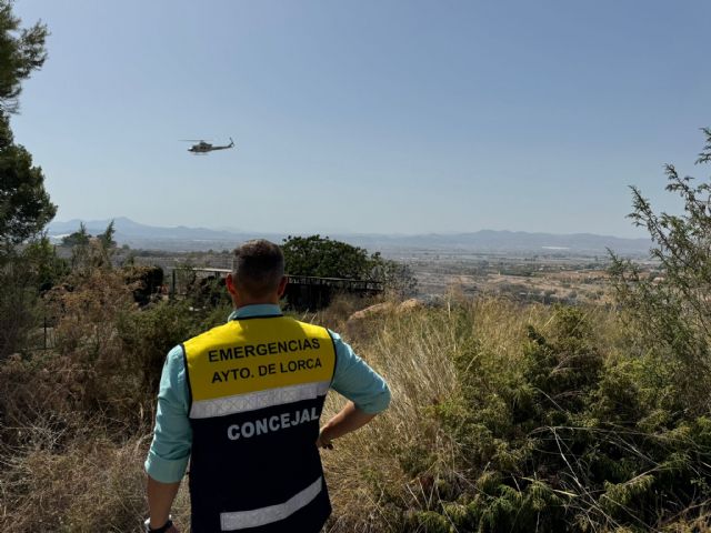 Efectivos del Plan Infomur controlan un incendio forestal declarado en el paraje las Majallanas de Purias - 4, Foto 4