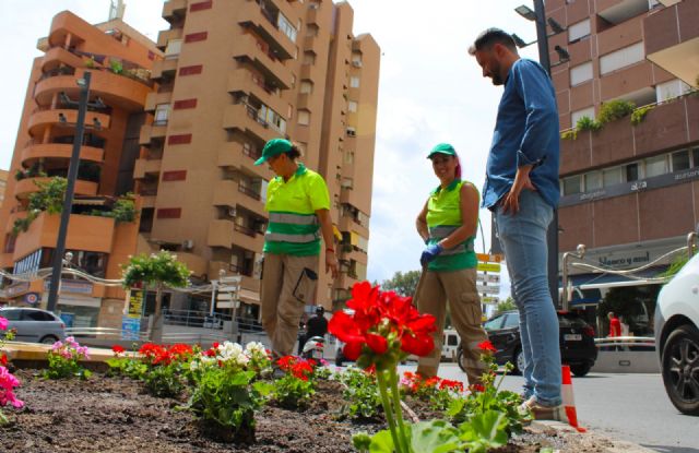 Geranios rojos, rosas y blancos devuelven el color a la fuente del Óvalo de Lorca - 1, Foto 1