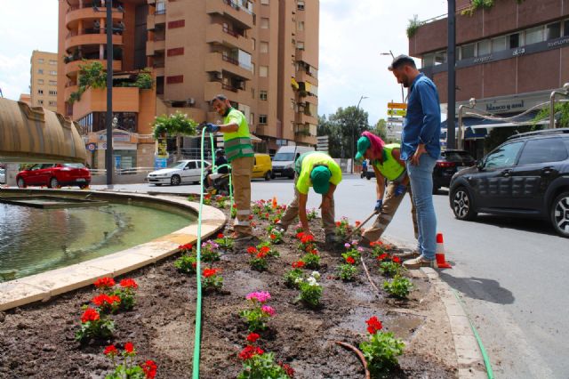 Geranios rojos, rosas y blancos devuelven el color a la fuente del Óvalo de Lorca - 2, Foto 2