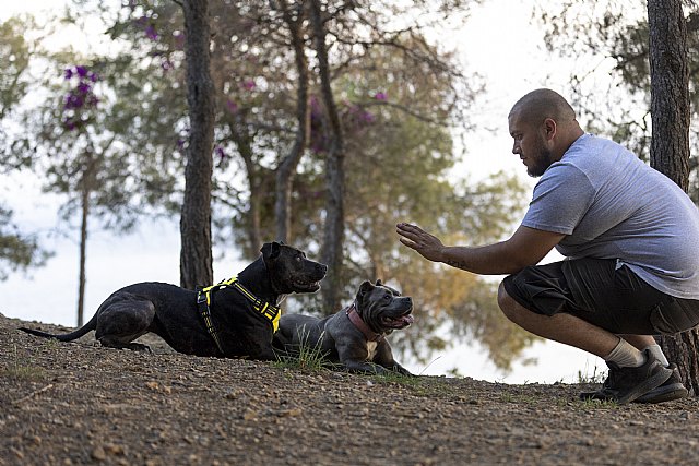 La Real Sociedad Canina de España llama a la cría responsable para preservar las razas y prevenir sucesos como los de Murcia - 1, Foto 1