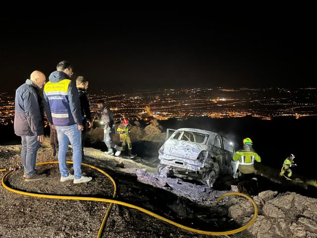 Servicios de Emergencia extinguen un incendio forestal en la sierra de La Peñarrubia - 1, Foto 1