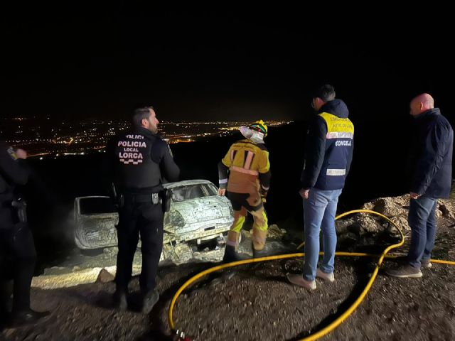 Servicios de Emergencia extinguen un incendio forestal en la sierra de La Peñarrubia - 2, Foto 2