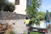 La magnitud de la vegetación en la Rambla de las Chatas de Lorca obliga al uso de motosierras