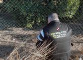 La Guardia Civil arresta a ocho personas por robos y daños en explotaciones agrícolas y ganaderas