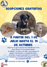 El Ayuntamiento lanza una campaña de adopciones gratuitas de mascotas