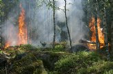 'La biodiversidad no provoca incendios'