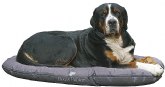 Complementos para Aves destaca la importancia de la cama para los perros y los beneficios de su uso