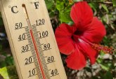 Impacto del calor en la salud vascular