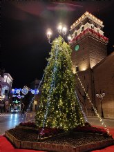 El número de turistas extranjeros que visitaron la Región de Murcia creció en julio