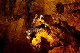 Viaje cultural al yacimiento paleontolgico de La Cueva Victoria de Cartagena