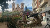 Gestoso manifiesta la preocupación de las ramas caídas del Ficus de Santo Domingo