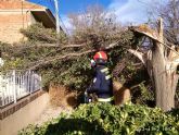 Las fuertes rachas de viento dejan hasta el momento un total de 36 incidencias en Lorca