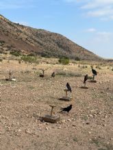 Los más pequeños, los más concienciados con la importancia de cuidar nuestro medio ambiente