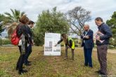 Luz verde a la redaccin del proyecto para crear una zona verde inundable y un jardn de lluvia en el parque Escipin