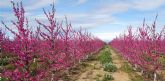 Valencia acoge la Gala de los Agronutrientes