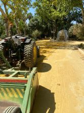 El Ayuntamiento realiza este viernes un tratamiento para evitar la proliferacin de mosquitos en la Alameda Ramn y Cajal